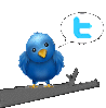 Follow Seiretto on Twitter